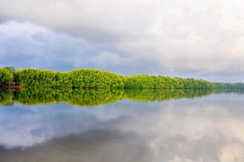 Okvin River Villa ベントータ エクステリア 写真